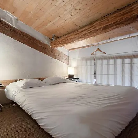 Apartment Le Chaleureux By Cocoonr Toulouse